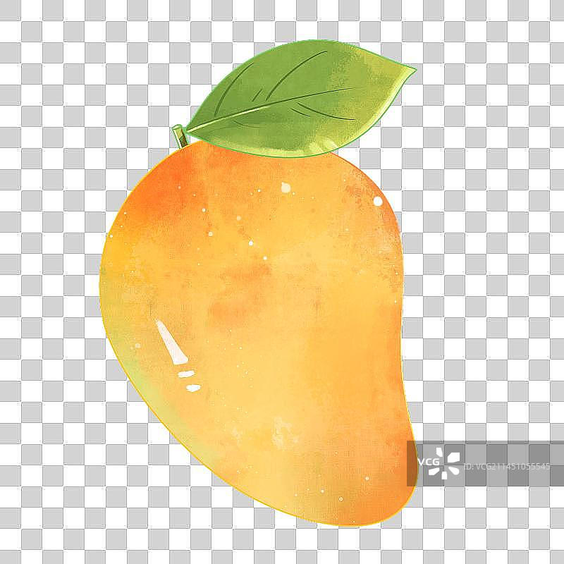 芒果手绘插画图片素材