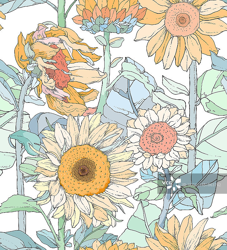 秋天的黄色向日葵场景图片素材