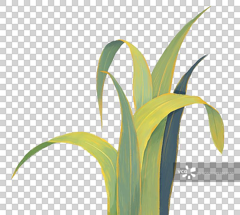 绿色叶子植物插画元素草丛图片素材