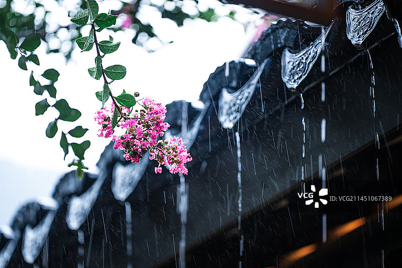 雨中的围墙屋檐瓦片图片素材