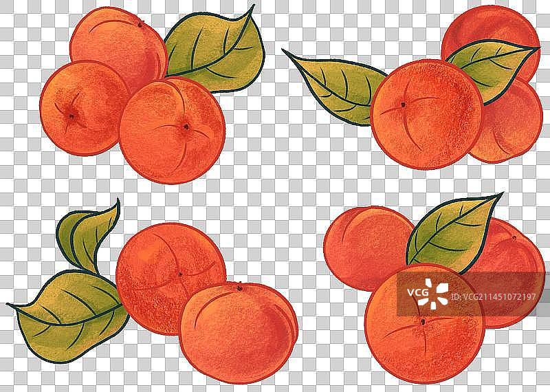 秋天成熟柿子组合元素图片素材