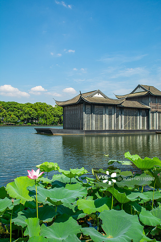 曲院风荷 杭州西湖 西湖夏天风光 江南园林  荷池荷花 工图片素材