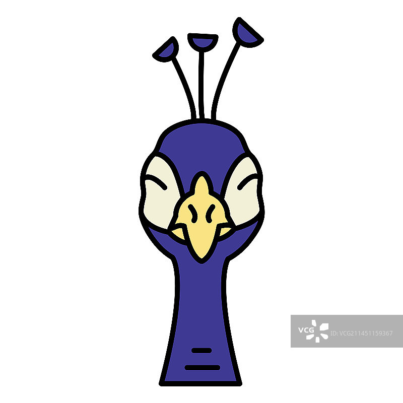 蓝色孔雀特写图片素材