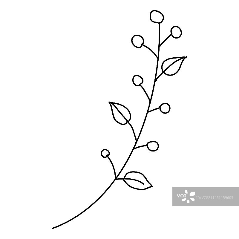 手绘树枝叶柄线条图片素材