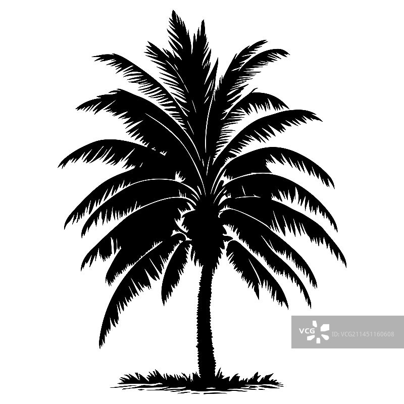 棕榈树剪影椰子树图片素材