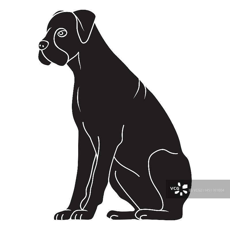 坐着的黑色拳师犬图片素材