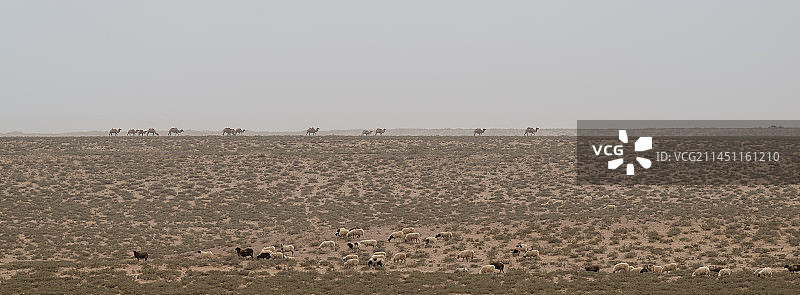 腾格里沙漠之舟图片素材