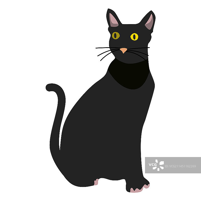 孟买猫图片素材