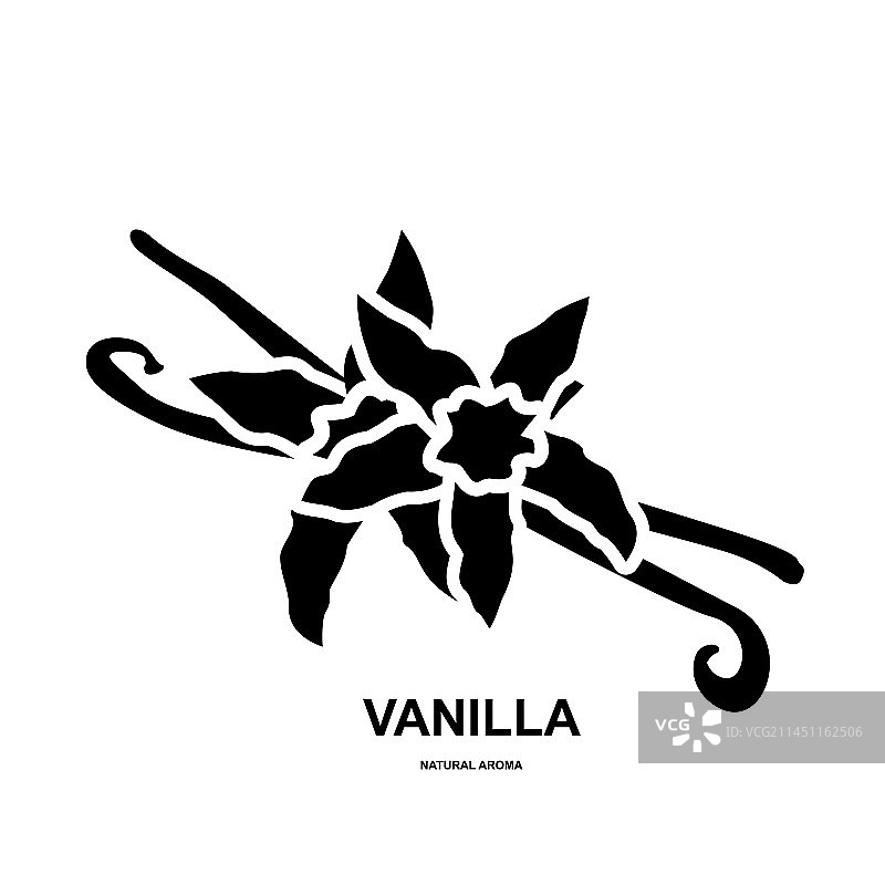 香草豆荚图标：兰花豆荚干香草醛图片素材