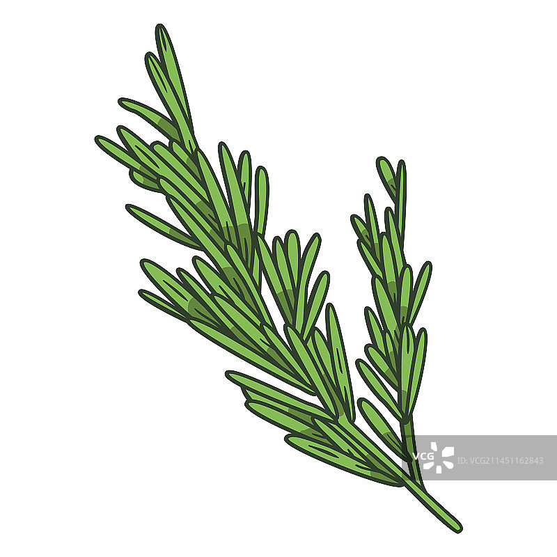 彩色笔触的绿叶树枝图片素材