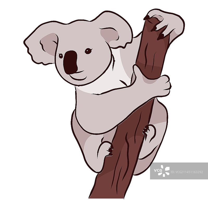树枝耳朵考拉腿鼻子图片素材