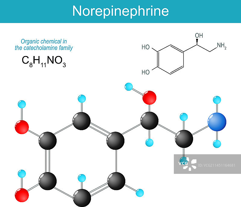 去甲肾上腺素分子图片素材