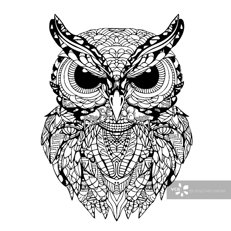 涂鸦风格手绘猫头鹰鸟类速写图片素材