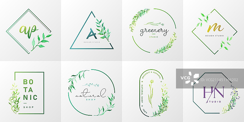 现代风格的天然有机logo图片素材