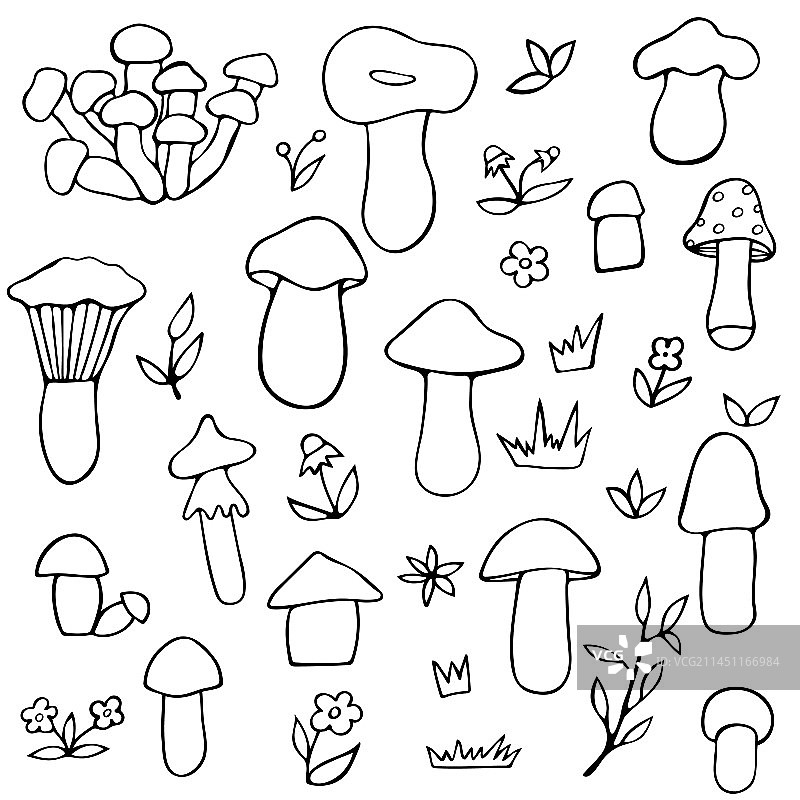 蘑菇涂鸦合集图片素材