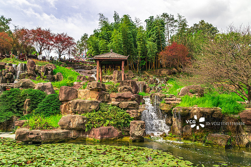 成都，三圣花乡图片素材