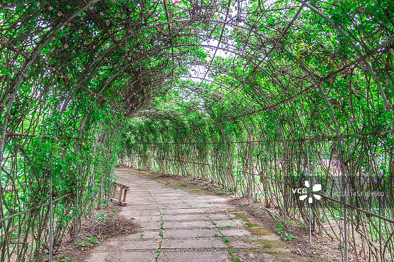 成都，三圣花乡图片素材