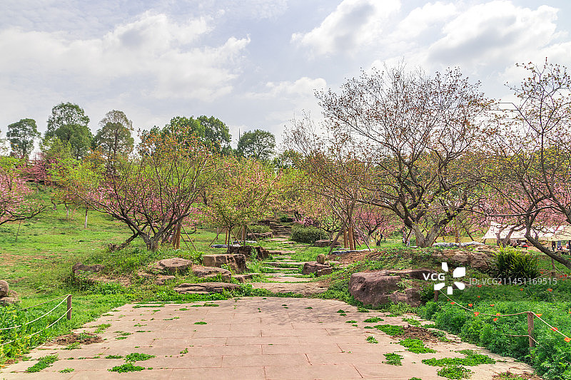 成都，三圣花乡图片素材