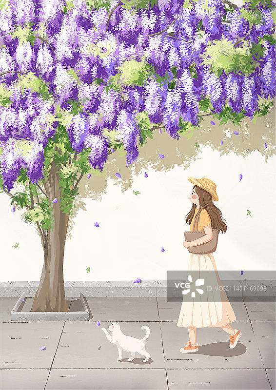 在紫藤花树下行走的女孩和猫咪图片素材