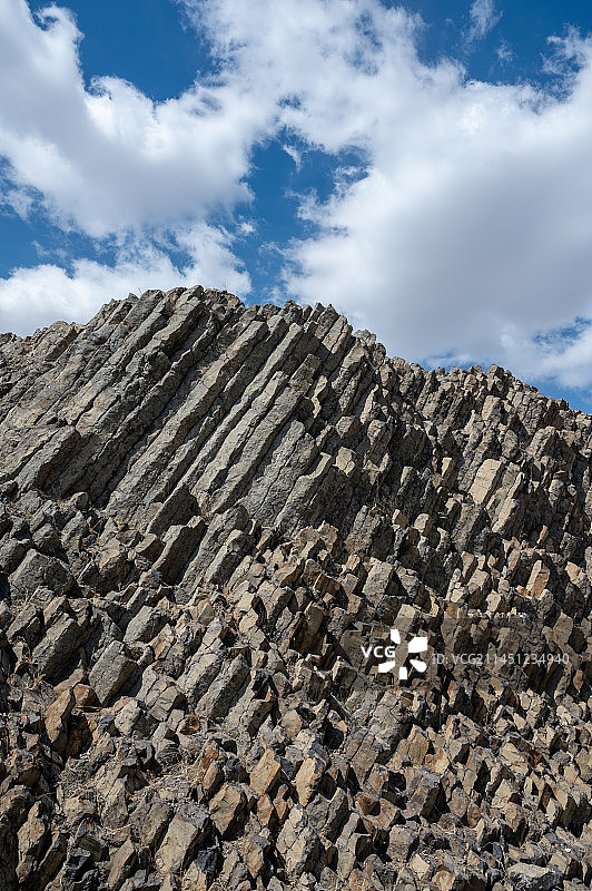 古力脑包图片素材