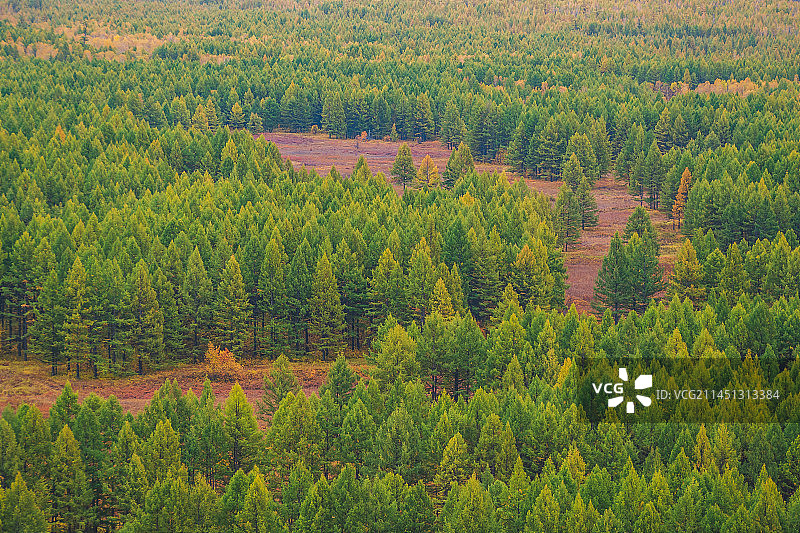 秋天根河源国家湿地公园风景图片素材