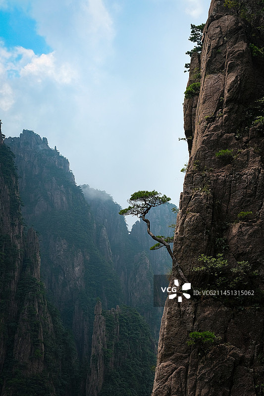 奇峰怪石 黄山仙境图片素材