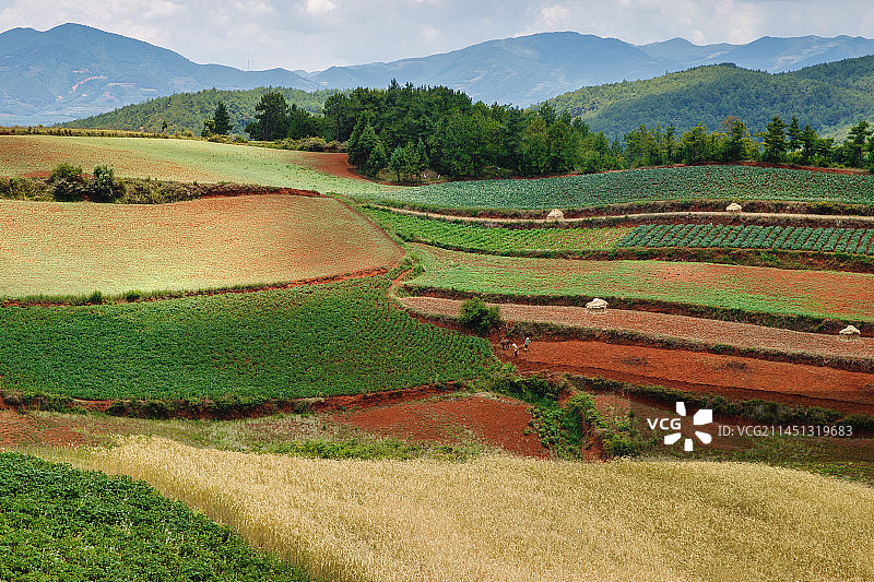 《土地》拍摄于云南东川图片素材