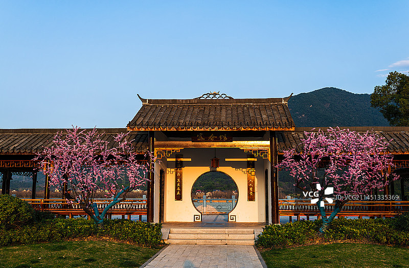 桐庐富春江镇富春馆前的梅花图片素材