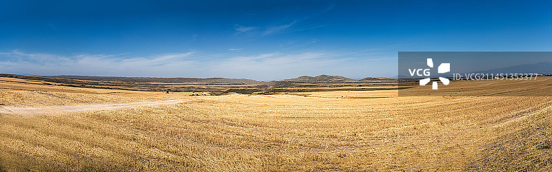 金色海洋图片素材