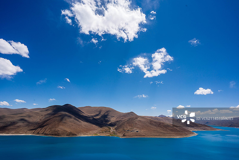 西藏的措和飞鸟图片素材