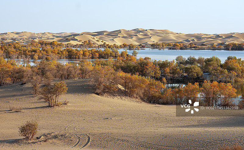 南疆行摄图片素材