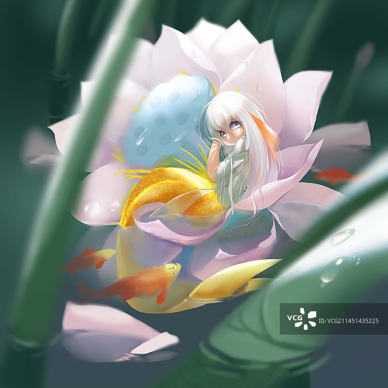 在荷花池深处的少女图片素材