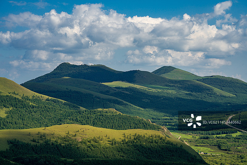 丰宁坝上千松坝草原森林蓝天白云背景图图片素材