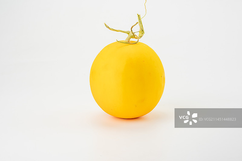 黄皮蜜瓜图片素材