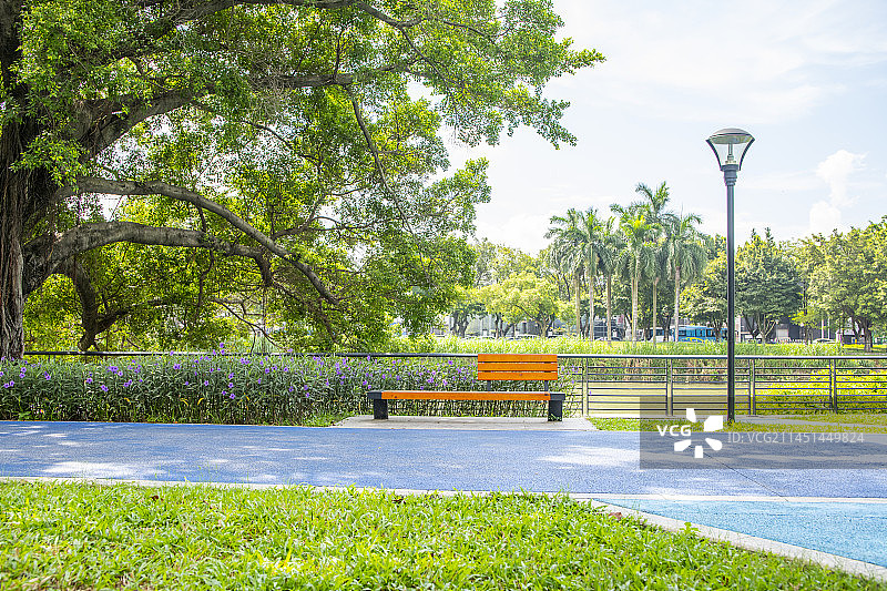 夏天的公园图片素材