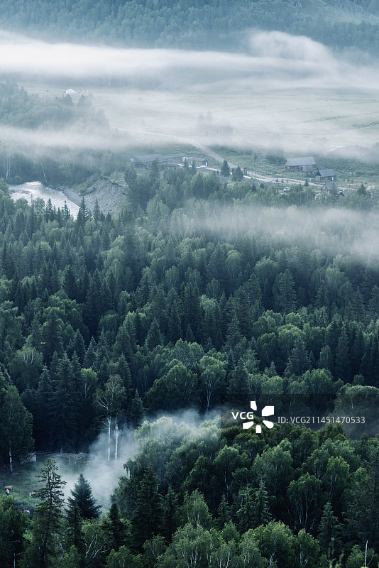 新疆禾木的晨雾图片素材
