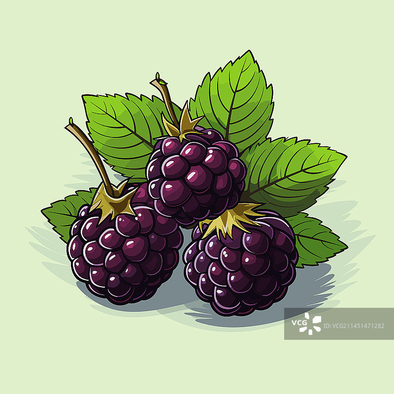 手绘黑莓涂鸦图片素材