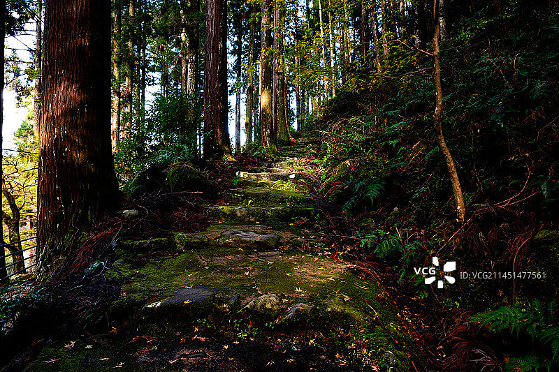 吉野山图片素材