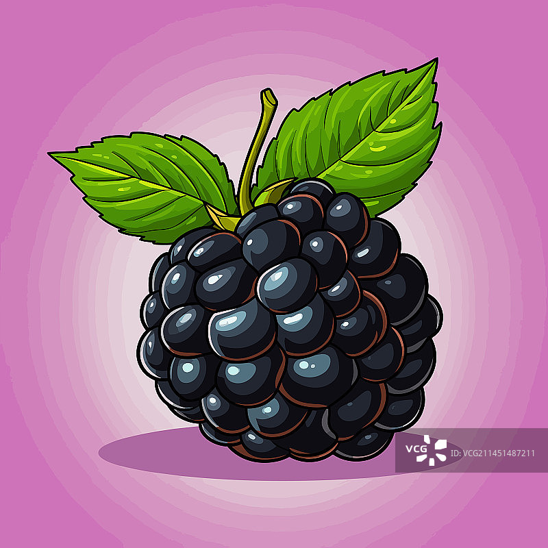 手绘黑莓涂鸦图片素材