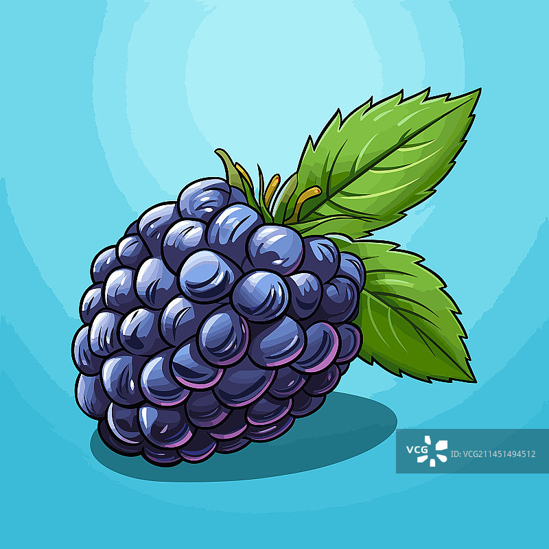 手绘黑莓涂鸦图片素材