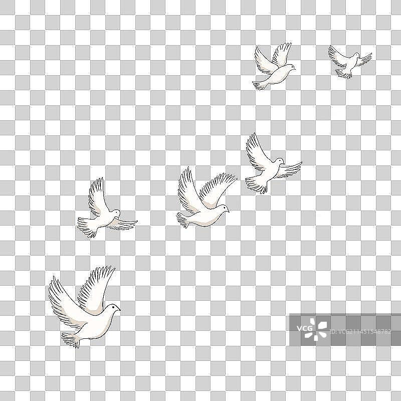 飞翔的和平鸽图片素材