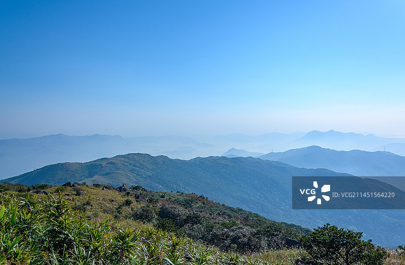 香港大帽山公园山顶日出唯美自然风光图片素材