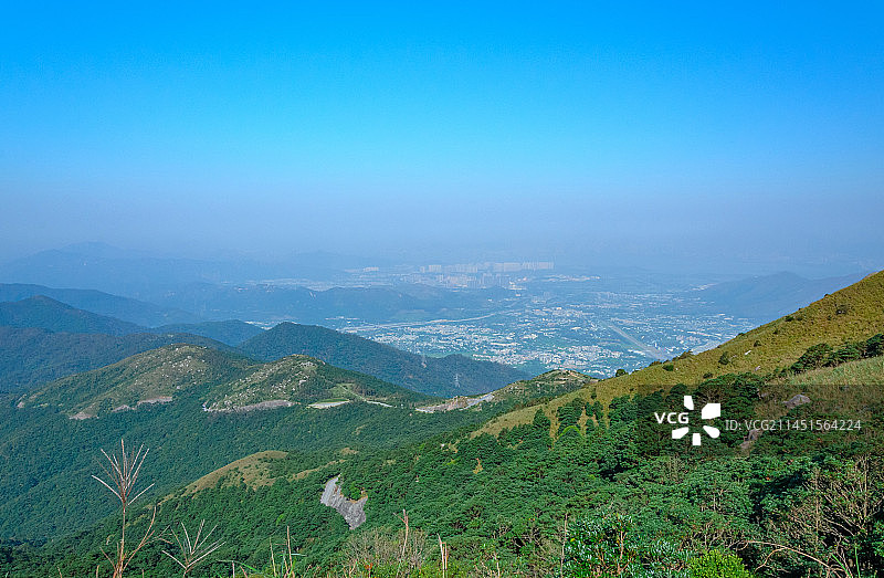 香港大帽山公园山顶日出唯美自然风光图片素材