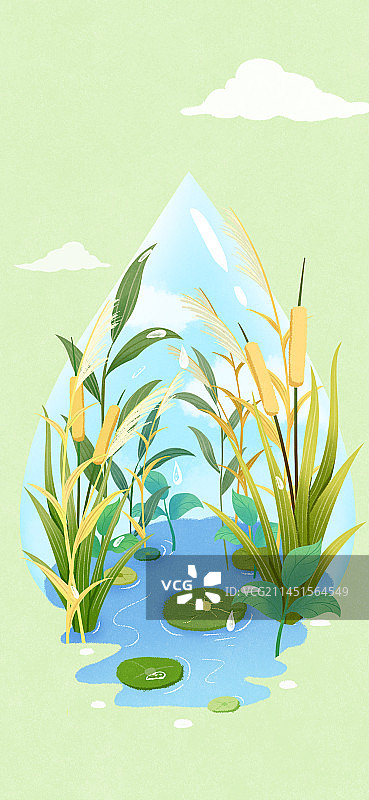 白露节气插画海报图片素材