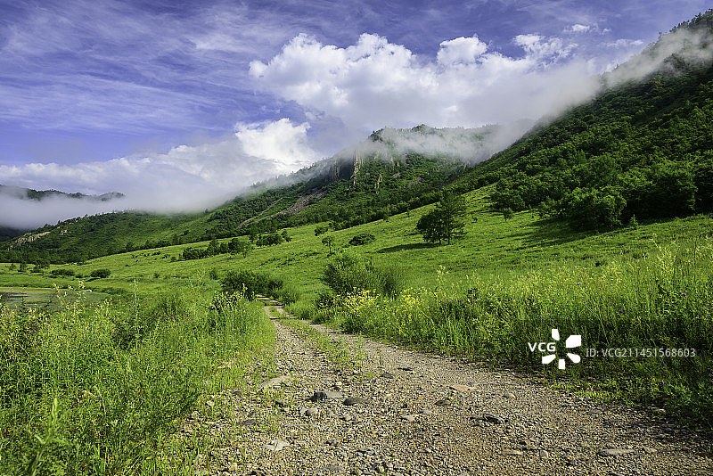 高山草原和道路（内蒙古呼伦贝尔扎兰屯柴河镇）图片素材