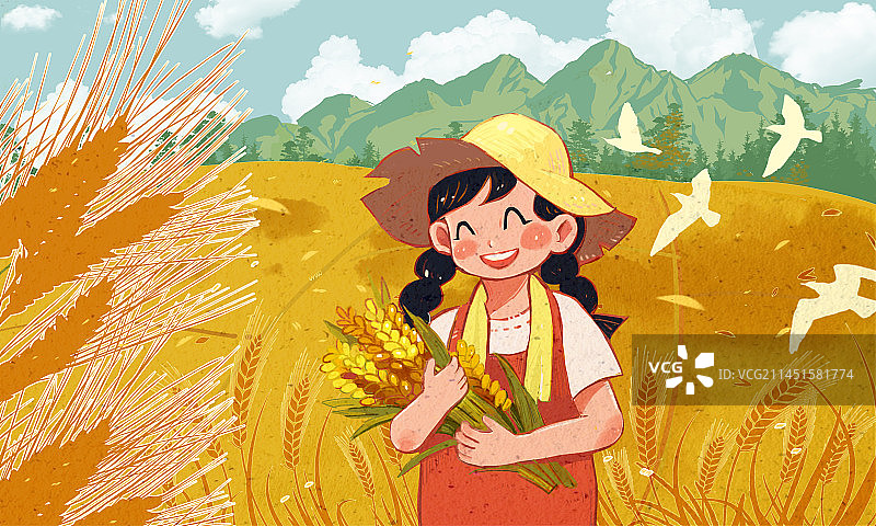 麦田里的大丰收图片素材