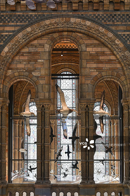 英国自然史博物馆图片素材