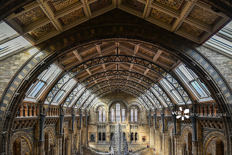 英国自然史博物馆图片素材