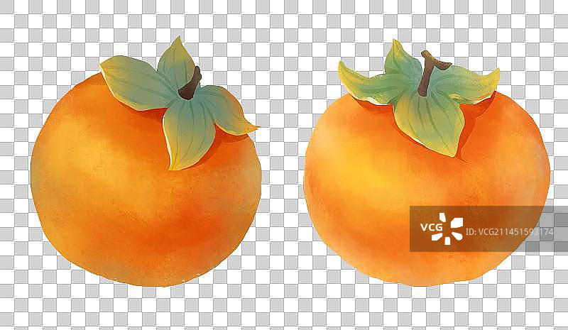秋天节气插画元素成熟的柿子图片素材