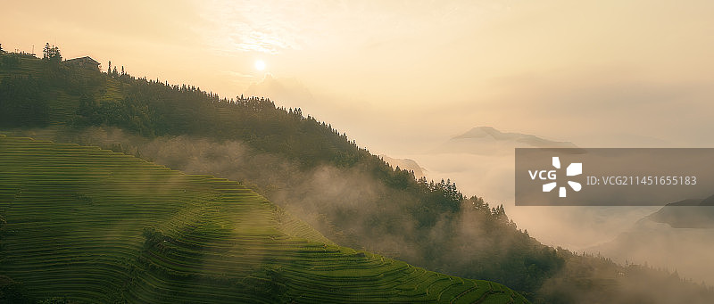 若尔盖草原图片素材
